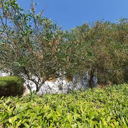 Σπίτι διακοπών Salento Paradiso *