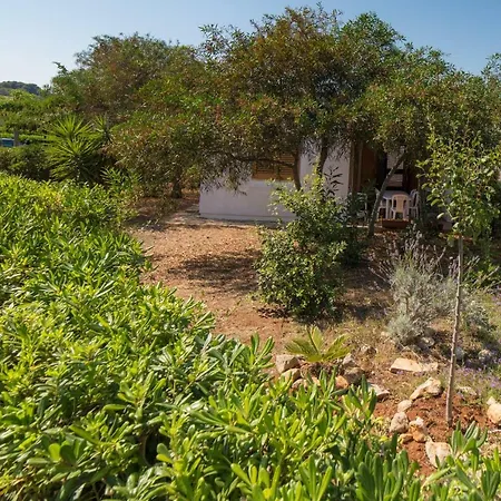 Salento Paradiso Holiday home